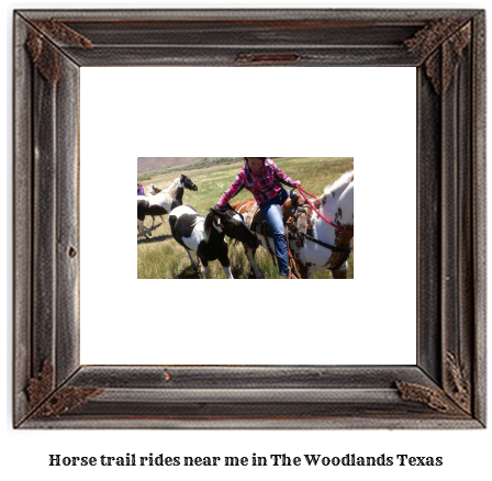 horse trail rides near me in The Woodlands, Texas